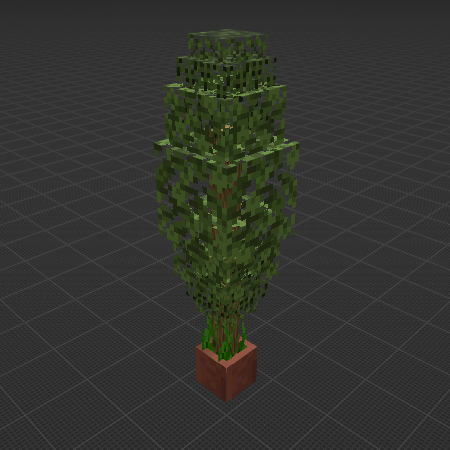 Bush