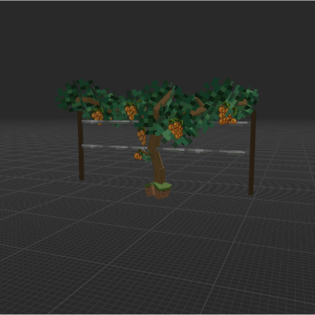 Vine