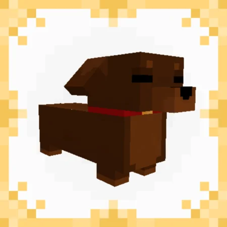 Dachshund dog