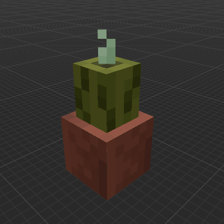 Potted Sea Pickle