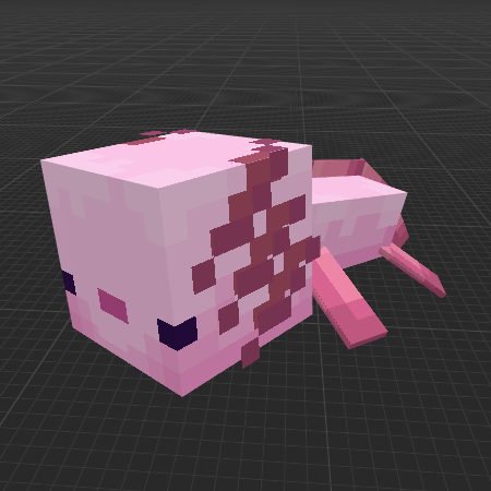 Axolotl