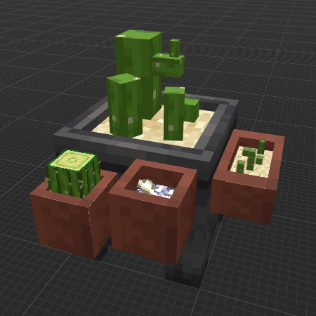 Cacti Garden