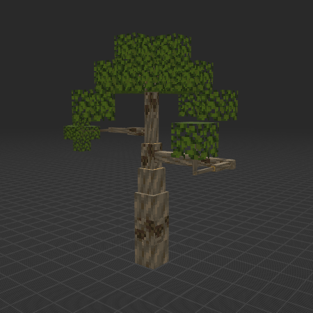 Aspen Tree