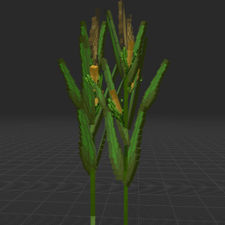Corn Field