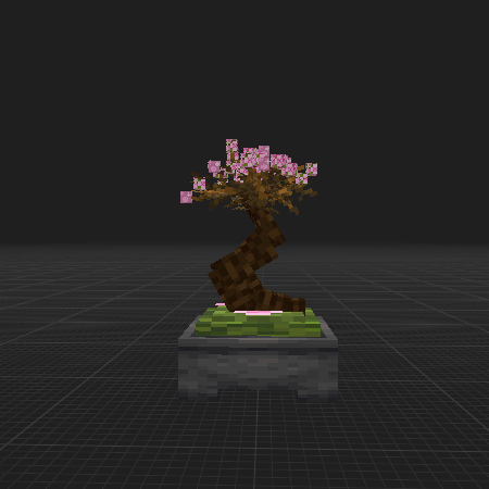 cherry tree bonsai