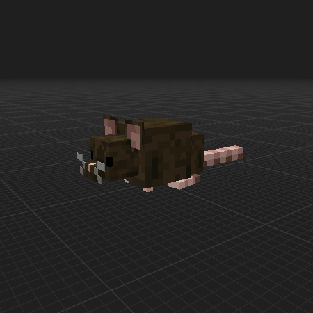 Rat