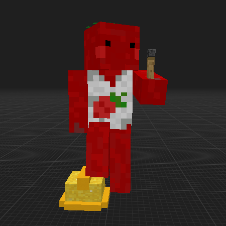 skin with helmet