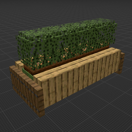 Cafe’s Hedge