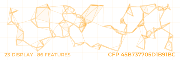 ConstellationFingerprint 45B737705D1B91BC