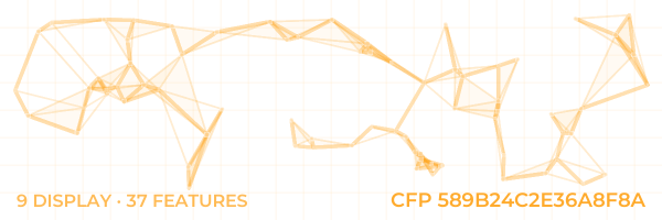 ConstellationFingerprint 589B24C2E36A8F8A