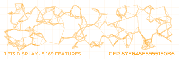 ConstellationFingerprint 87E645E5955150B6