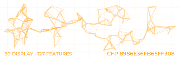 ConstellationFingerprint 8986E36FB65FF308