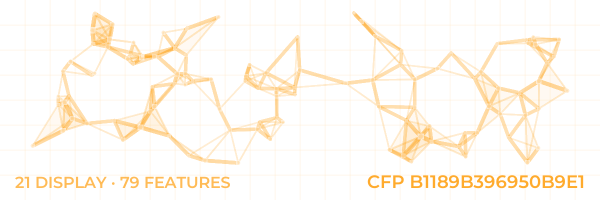ConstellationFingerprint B1189B396950B9E1