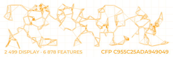 ConstellationFingerprint C955C25ADA949049