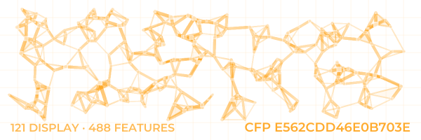 ConstellationFingerprint E562CDD46E0B703E